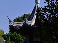 -八大山人梅湖景区