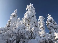 -瓦屋山景区