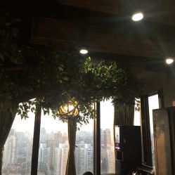 -V-STAR威斯达•高级私人定制