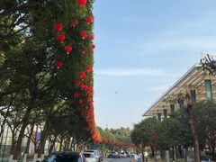 -成都高新创新角度网球俱乐部