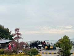 -胡里山炮台