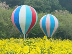 -苏州上方山国家森林公园