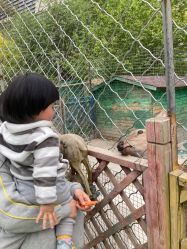 -萌宠亲子动物乐园(槐房万达店)