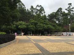 -仙岳公园