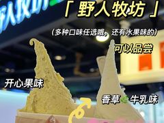 -野人牧坊Gelato(天津南开大悦城店)