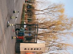 -东升八家郊野公园
