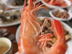 白灼对虾-庆余生平价生猛海鲜(海棠湾林旺夜市店)