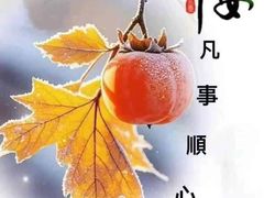 -宴宾楼(和平店)