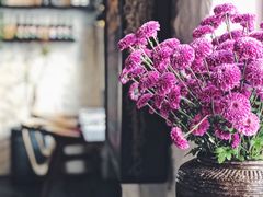 -Apollo·西班牙小酒馆(安福路店)