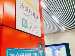 -望京西(地铁站)