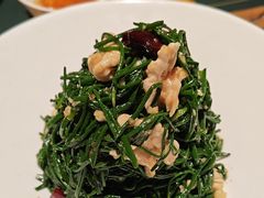 -老阿妈蒙古村·蒙古包·草原文化·歌舞表演(老君堂店)