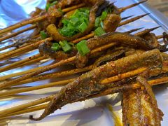 鳝鱼-晓靖轩烧烤(沙河风情店)