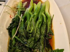 白灼菜心-沪碟·精菜坊(闵行店)