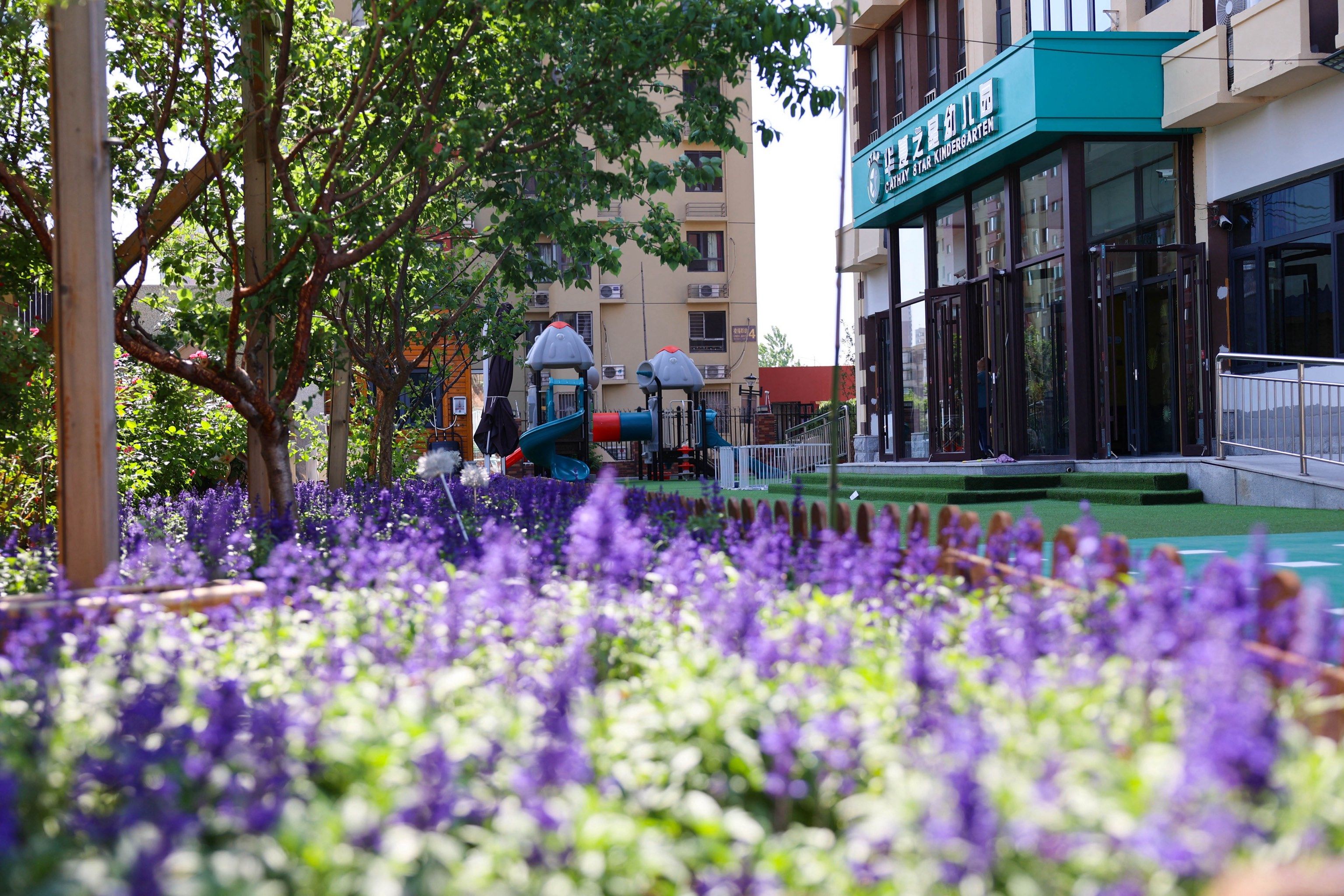 他喜欢这里.总之,来华夏之星是最好的选择