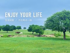 -五角枫生态旅游景区