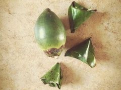 iphone_upload_pic-鸿港海鲜批发市场