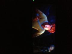 IMG_5706-中影国际影城(九江花园城CINITY LED店)