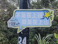-广州市帽峰山景区