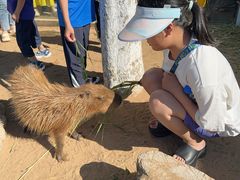 -西霞口神雕山野生动物世界
