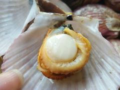 -鲜小岛·铜锅涮肉