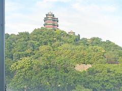 -七欣天香辣蟹火锅(南京建宁路大观天地店)