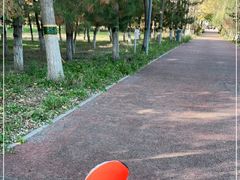 -大兴滨河森林公园