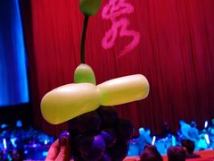 -水秀国际大剧院