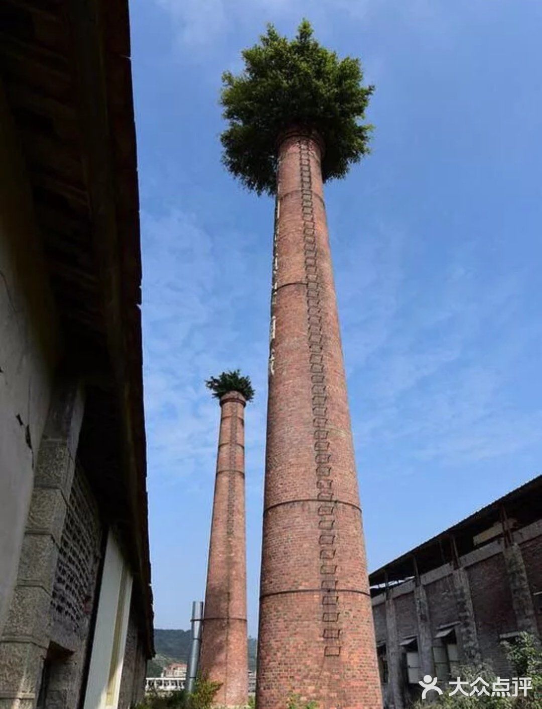 ♥╣[-_-]╠♥毕业高薪的医学院，我想去！！