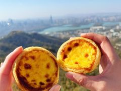 -紫金山山顶公园