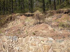 -白草畔自然风景区