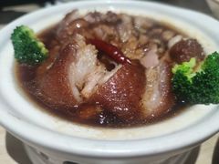 蹄膀-破店(井大店)