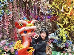 -正佳雨林生态植物园