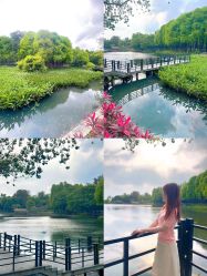 -致友月子会所(麓湖店)
