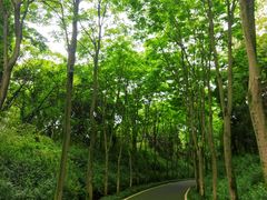 -宜兴龙背山森林公园