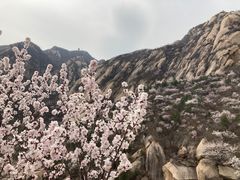-北京凤凰岭