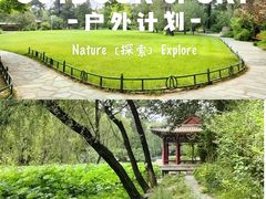 -近春园遗址