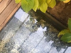 -边渡咖啡烘焙店(昙华林店)