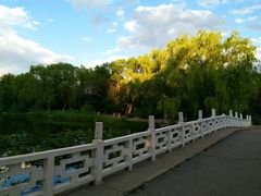 -满都海公园