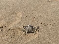 -西涌国际滨海旅游区