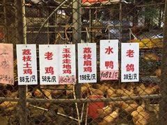 -荔城生鲜盛宴(番禺旗舰店)