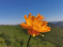 -灵山