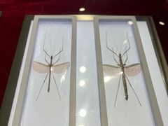 -上海昆虫博物馆