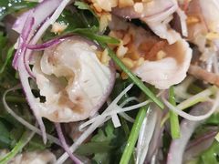 -东鸽皇(奥园·中环广场店)
