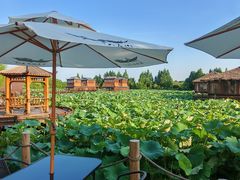 -军山湖云水间生态农业旅游景区