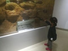 -上海昆虫博物馆