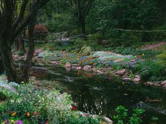 -上海共青森林公园