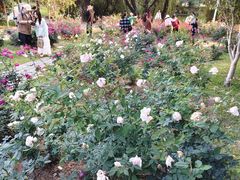 -人民公园(罗湖区)