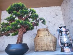-马家斑.鲜鱼火锅(松湖万科店)