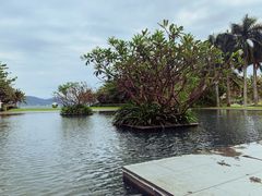 -三亚太阳湾柏悦酒店