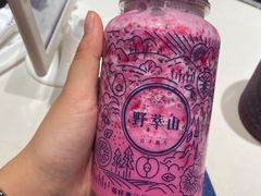 -野萃山·潮汕厚果汁(十亩地店)